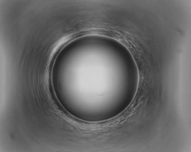 X0000113530006200909181145