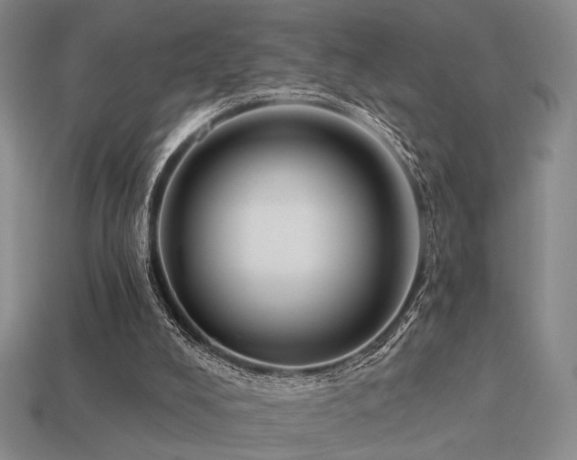X0000113530008200909181145
