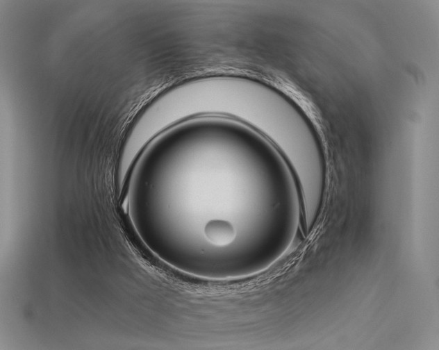 X0000113530009200909181145