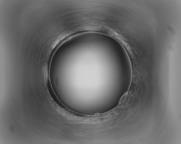 X0000113530011200909181145