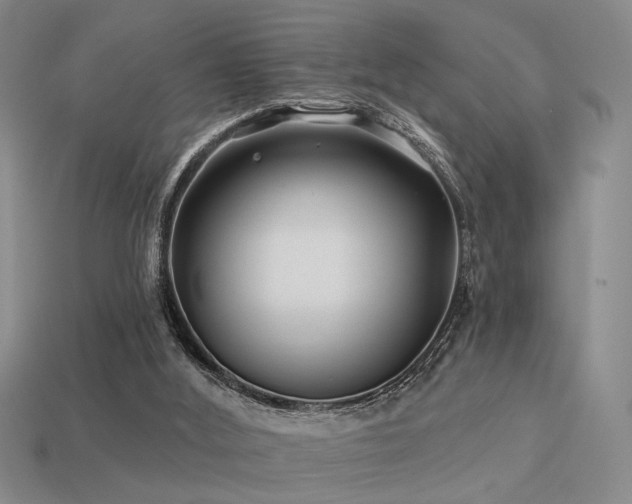 X0000113530012200909181145