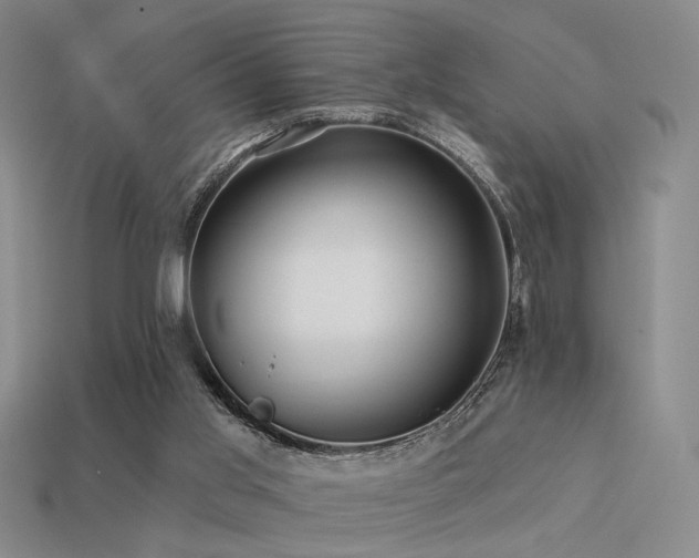 X0000113530013200909181145