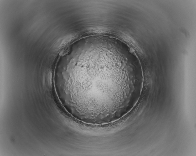 X0000113530014200909181145