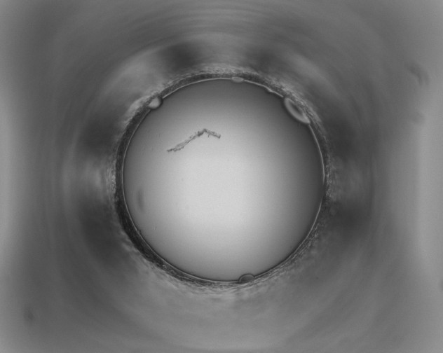 X0000113530015200909181145