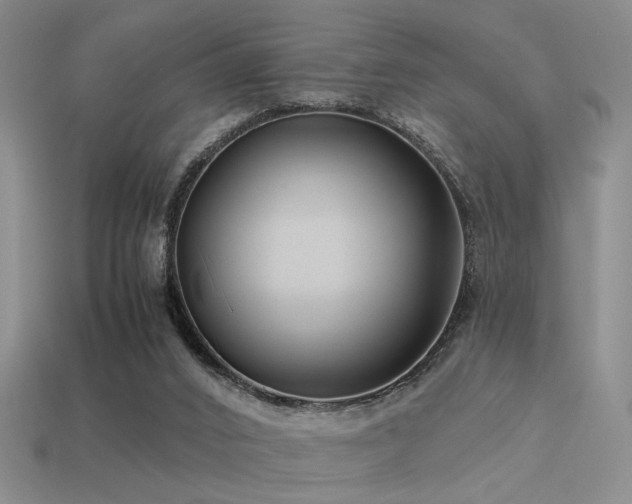 X0000113530016200909181145
