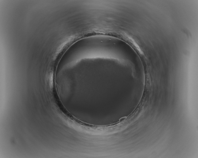 X0000113530019200909181145
