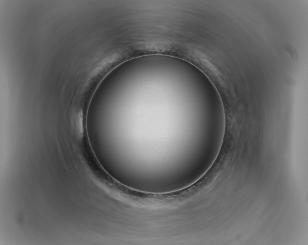 X0000113530020200909181145