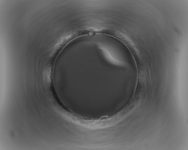 X0000113530023200909181145