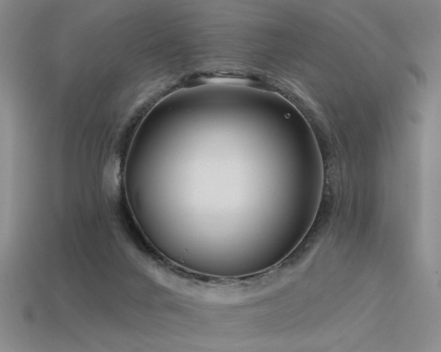 X0000113530024200909181145