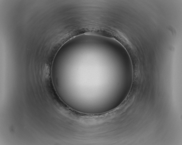 X0000113530025200909181145