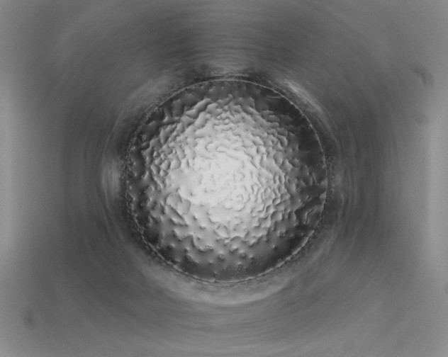 X0000113530026200909181145