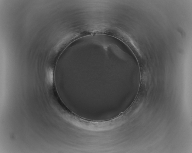 X0000113530027200909181145