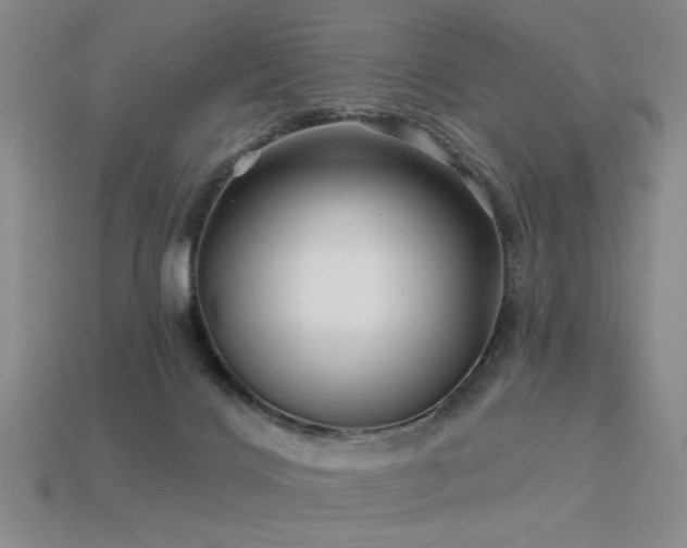 X0000113530028200909181145