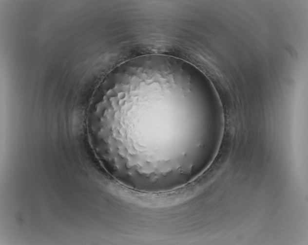 X0000113530030200909181145