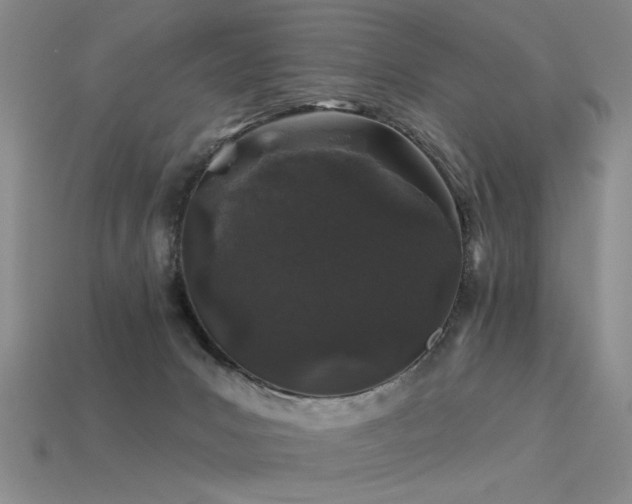 X0000113530031200909181145