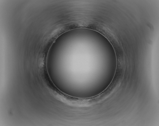 X0000113530032200909181145