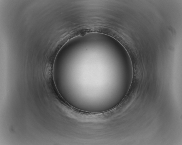 X0000113530036200909181145