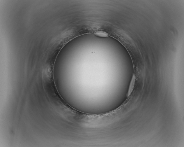 X0000113530037200909181145