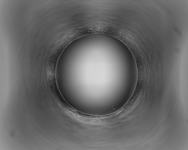 X0000113530040200909181145