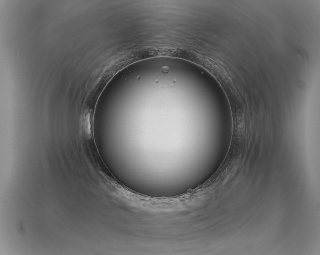 X0000113530042200909181144
