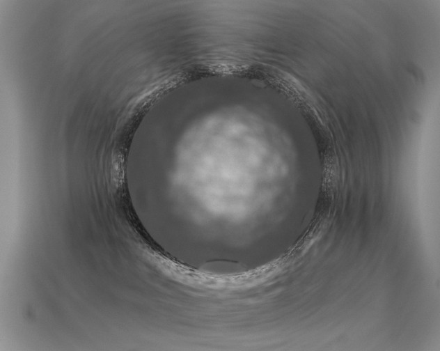 X0000113530043200909181144
