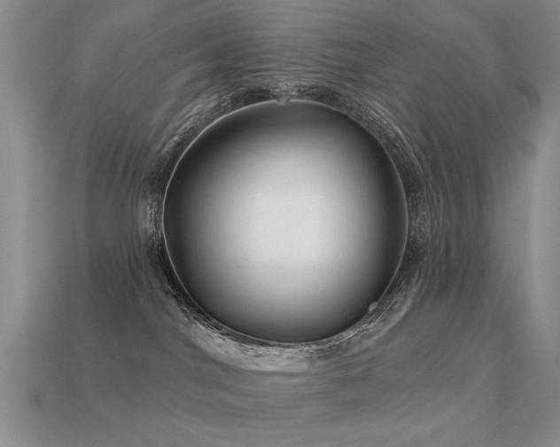 X0000113530044200909181144