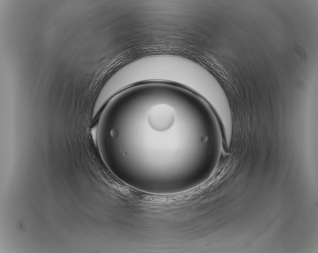 X0000113530045200909181144