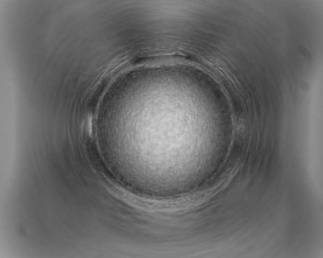 X0000113530046200909181144