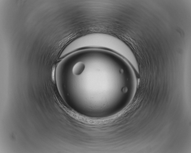 X0000113530047200909181144