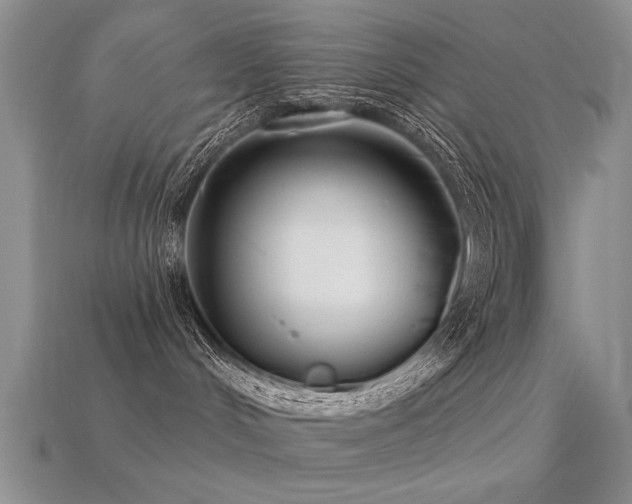 X0000113530048200909181144