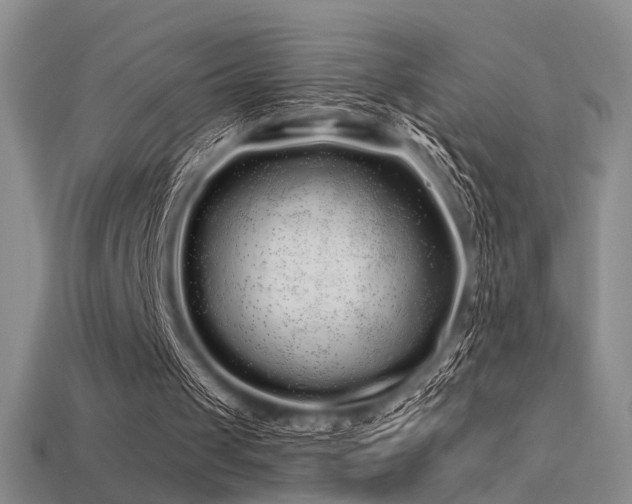 X0000113530049200909181144