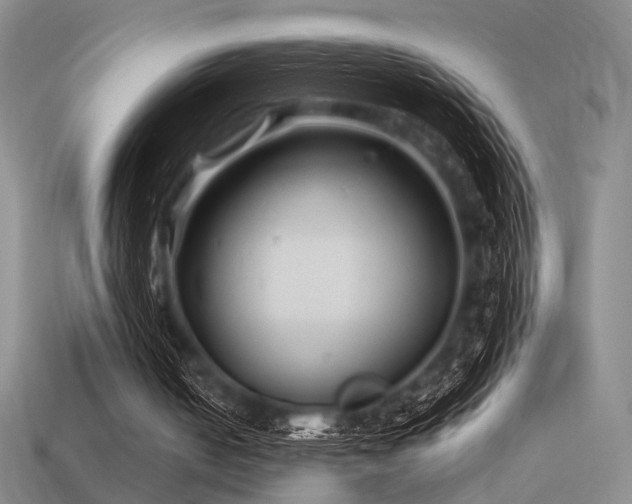 X0000113530050200909181144