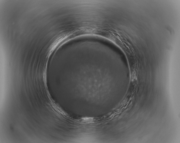 X0000113530052200909181144