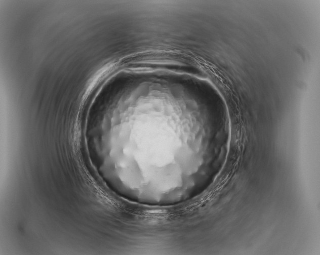 X0000113530053200909181144