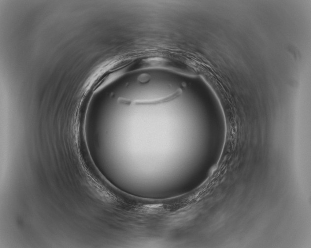 X0000113530054200909181144