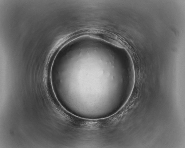 X0000113530055200909181144