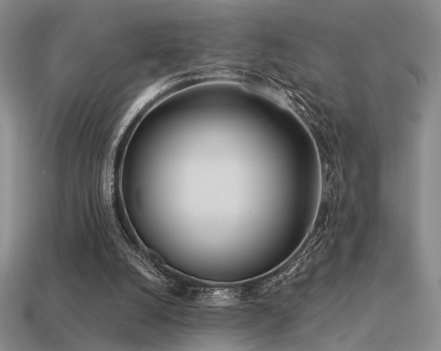X0000113530056200909181144