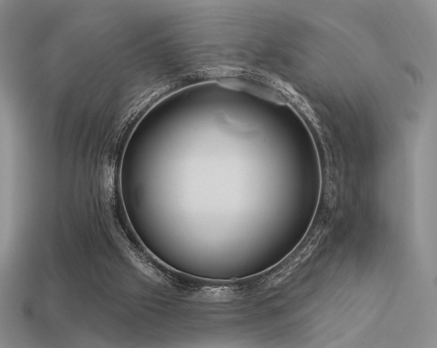 X0000113530057200909181144