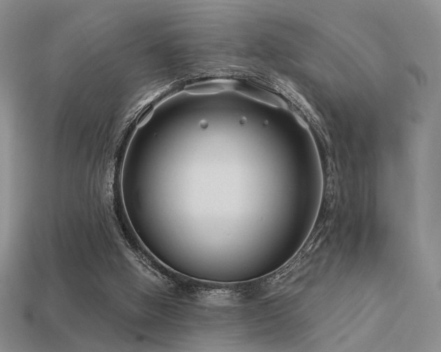 X0000113530058200909181144