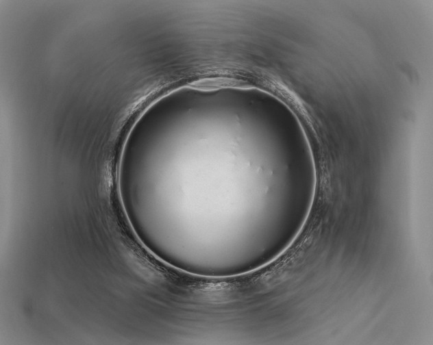 X0000113530059200909181144