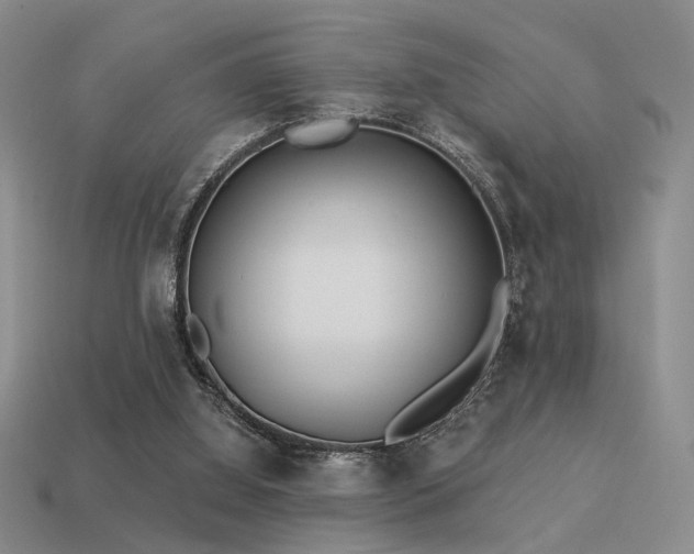 X0000113530060200909181144