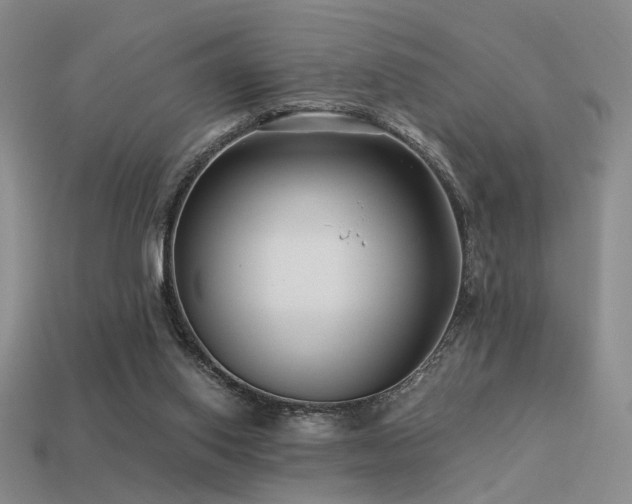 X0000113530062200909181144