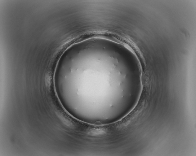 X0000113530063200909181144
