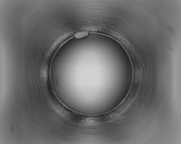 X0000113530064200909181144