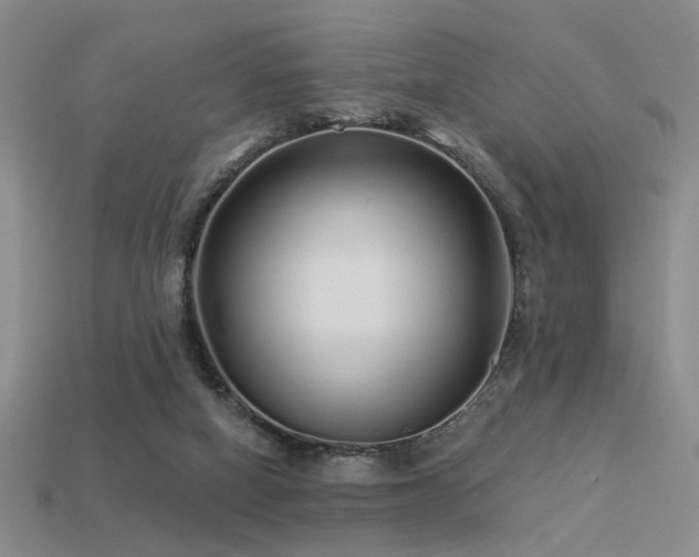 X0000113530066200909181144