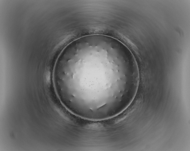 X0000113530067200909181144