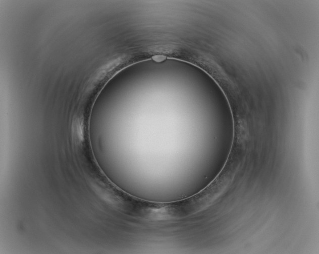 X0000113530068200909181144