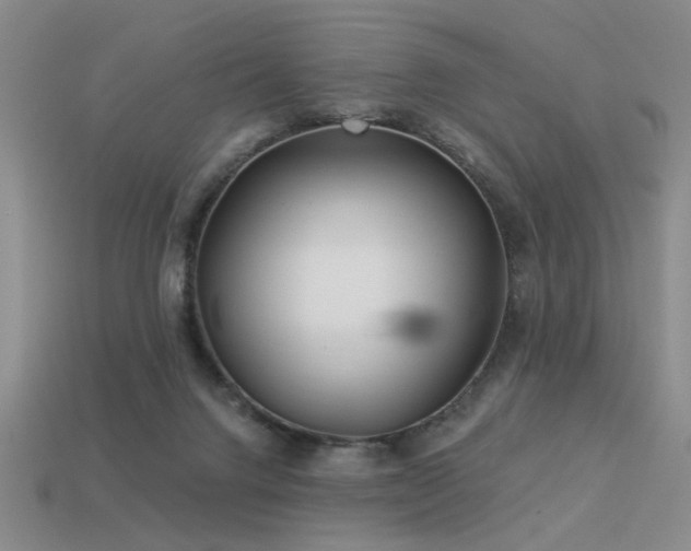 X0000113530072200909181144
