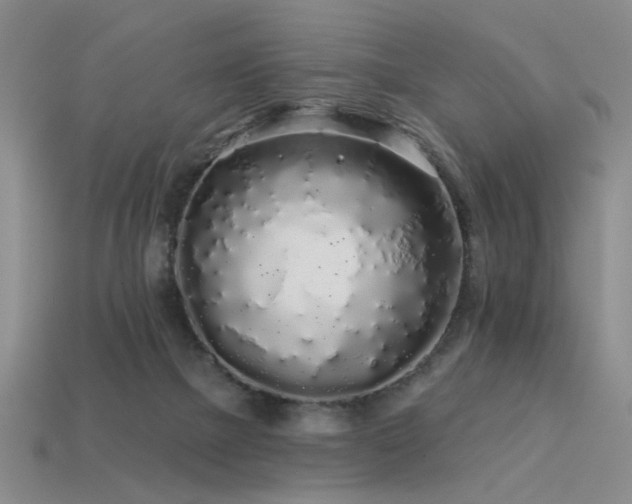 X0000113530073200909181144