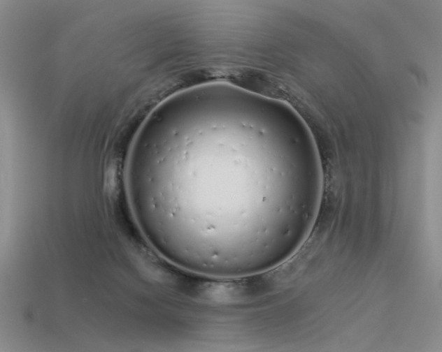 X0000113530074200909181144